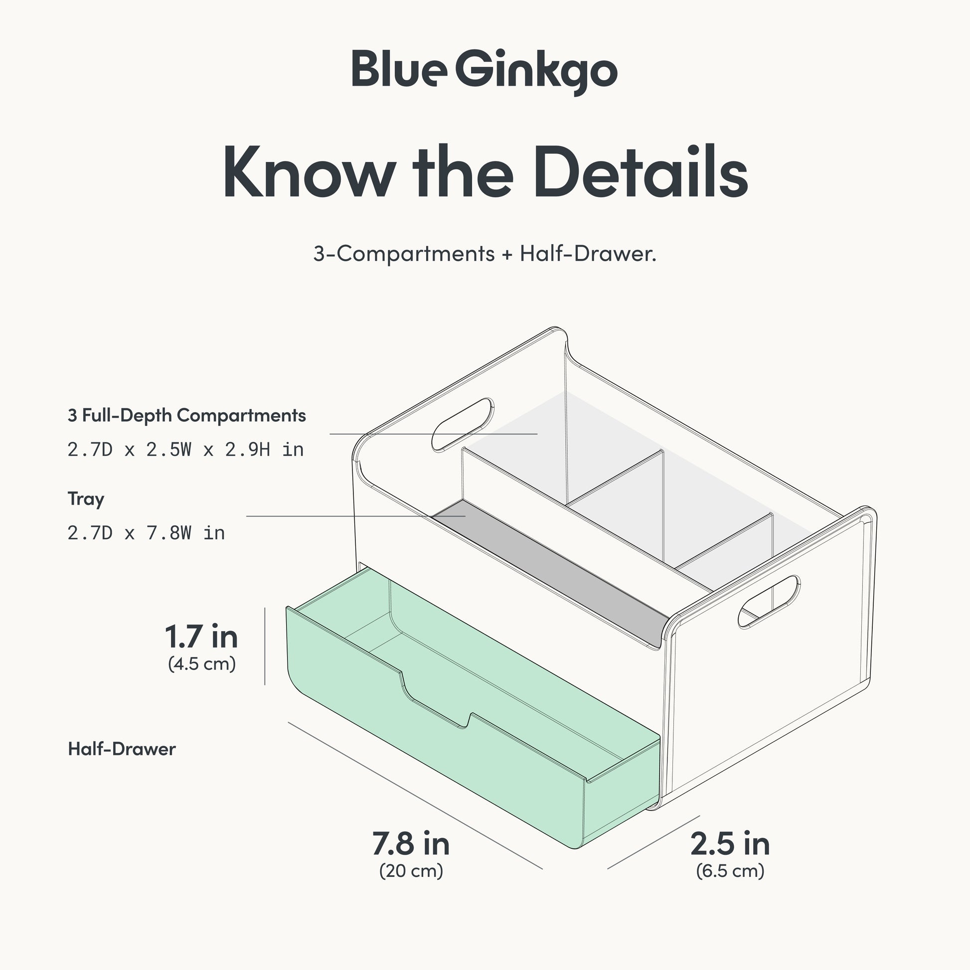 Blue Ginkgo product with compartmentalized design and measurements on a white background.