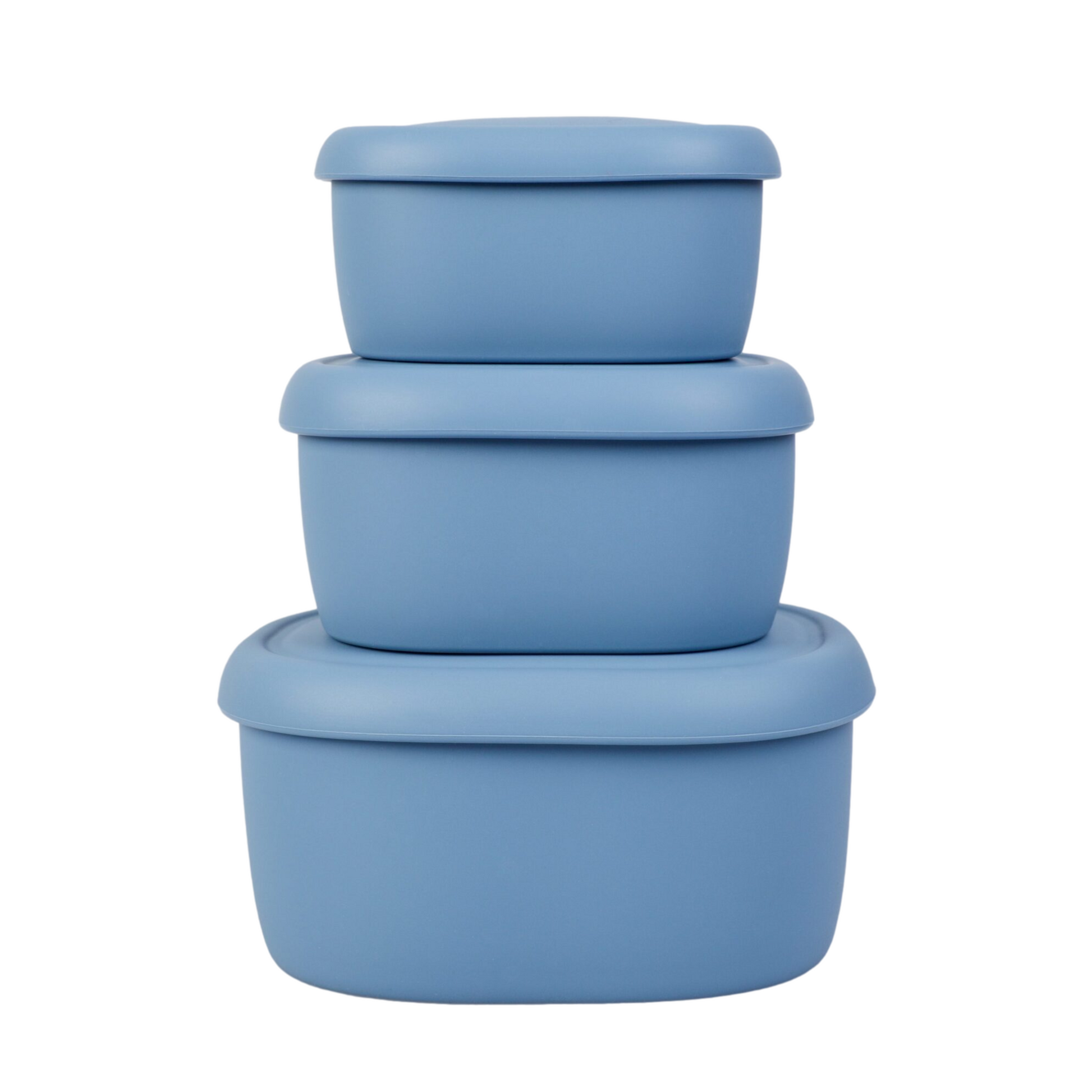 Biagino 24 oz. Food Storage Container (Set of 10) Prep & Savour Color: Blue
