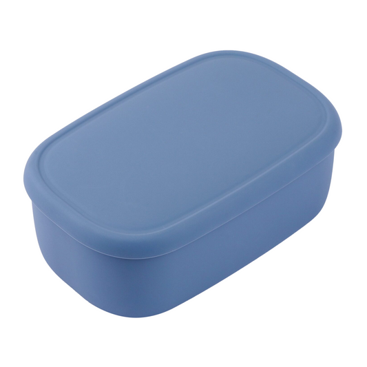 Large Silicone Container
