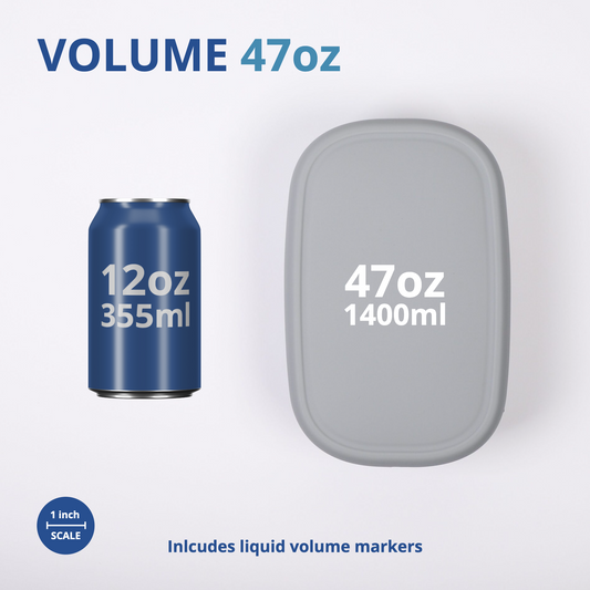 Large Silicone Container